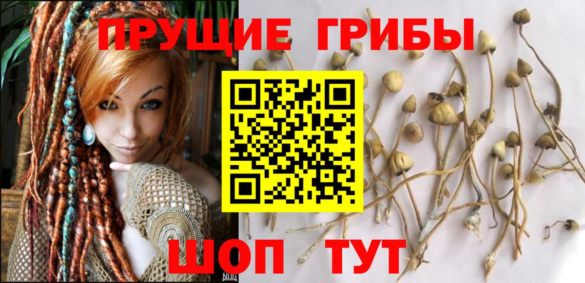 Галлюциногенные грибы мухоморы  Галлюциногенные грибы MAGIC MUSHROOMS  Вход с VPN  Тосно 